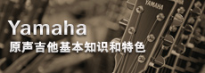 原聲吉他